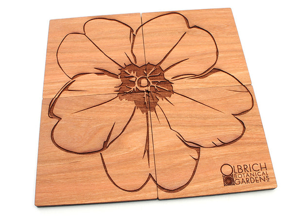 Olbrich Gardens Evening Primrose Flower Coasters
