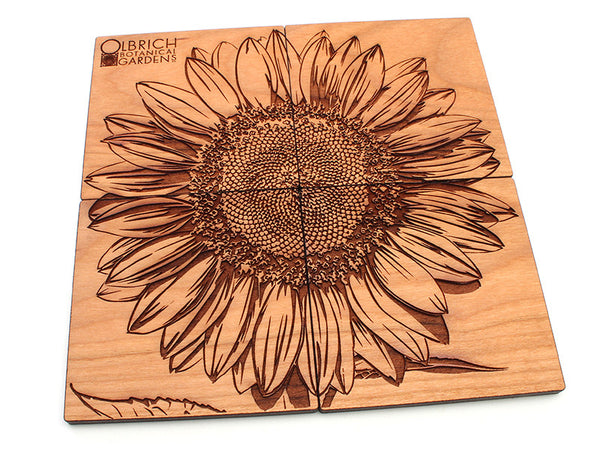 Olbrich Gardens Sunflower Flower Coasters